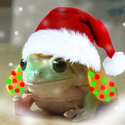 TheKingMarz, Co-Owner for Planetary Tower Defense